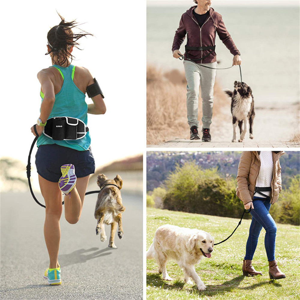 Hands-Free Dog Leash – Run, Walk & Train Together Easily