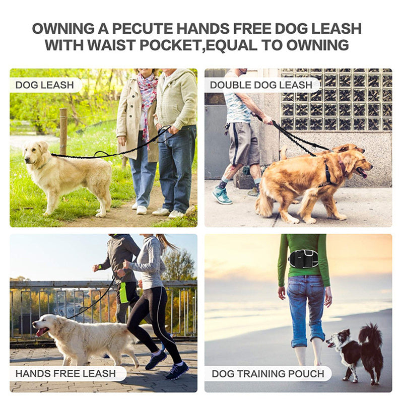 Hands-Free Dog Leash – Run, Walk & Train Together Easily